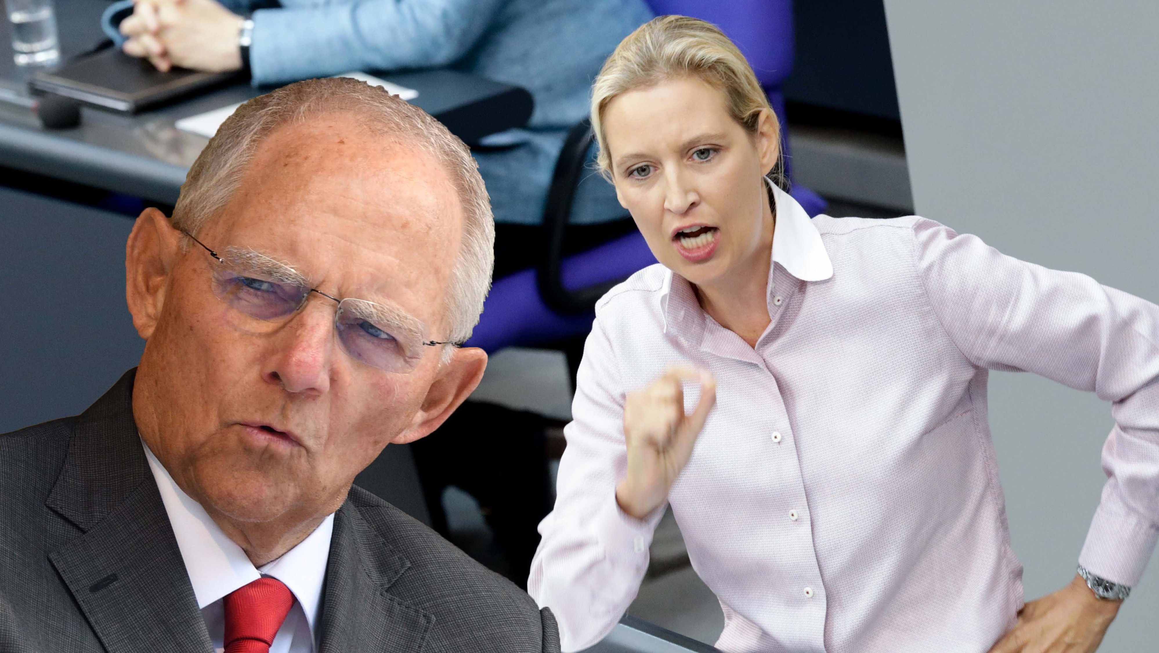 So nicht Frau Alice Weidel! Das Parlament stemmt sich ...