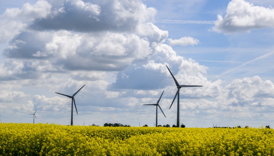 Windräder stehen hinter einem Rapsfeld in der Region Hannover. Bei der Umweltministerkonferenz steht unter anderem der zügigere Ausbau der Windenergie im Fokus.
