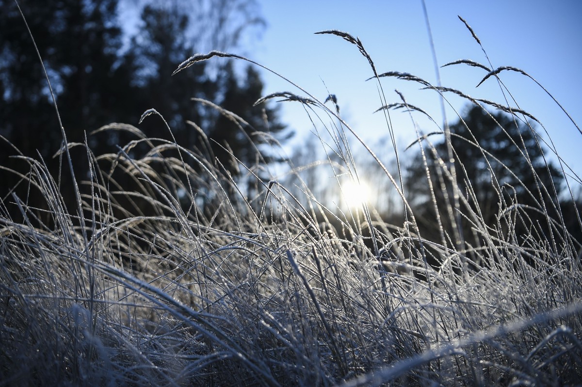 ARCHIV - 26.12.2021, Berlin: Sonne scheint am Nachmittag bei Minusgraden auf dem ehemaligen Schießplatz Mittelheide in Berlin. (zu dpa: «DWD warnt vor Frost: Bis zu -9 Grad in Brandenburg») Foto: Kira ...