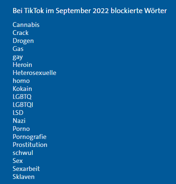 Diese 20 Begriffe sind zurzeit auf der Plattform Tiktok blockiert.