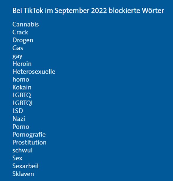 Diese 20 Begriffe sind zurzeit auf der Plattform Tiktok blockiert.