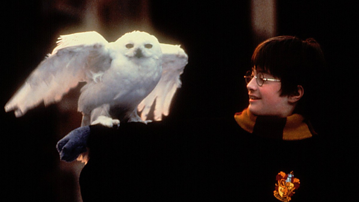 HARRY POTTER AND THE SORCERER S STONE, Daniel Radcliffe, 2001 Warner Bros/Courtesy Everett Collection ACHTUNG AUFNAHMEDATUM GESCHÄTZT PUBLICATIONxINxGERxSUIxAUTxONLY Copyright: xWarnerxBros/CourtesyxE ...