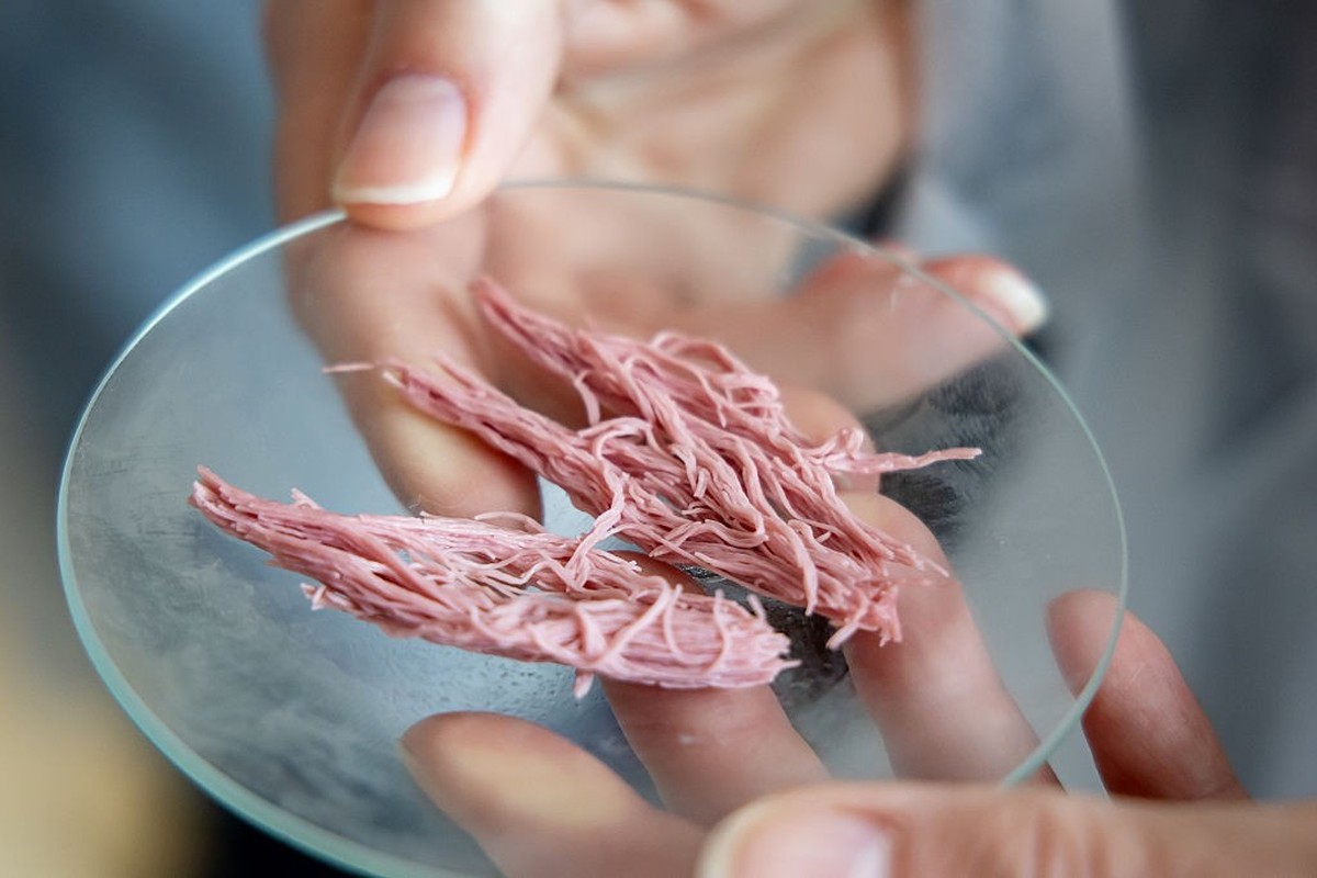 3D-printed vegetarian products that imitate prepared meat are pictured during the presentation of the Eaden Project in Berlin, Germany, on May 22, 2025. The company, founded by David Schmelzeisen and  ...