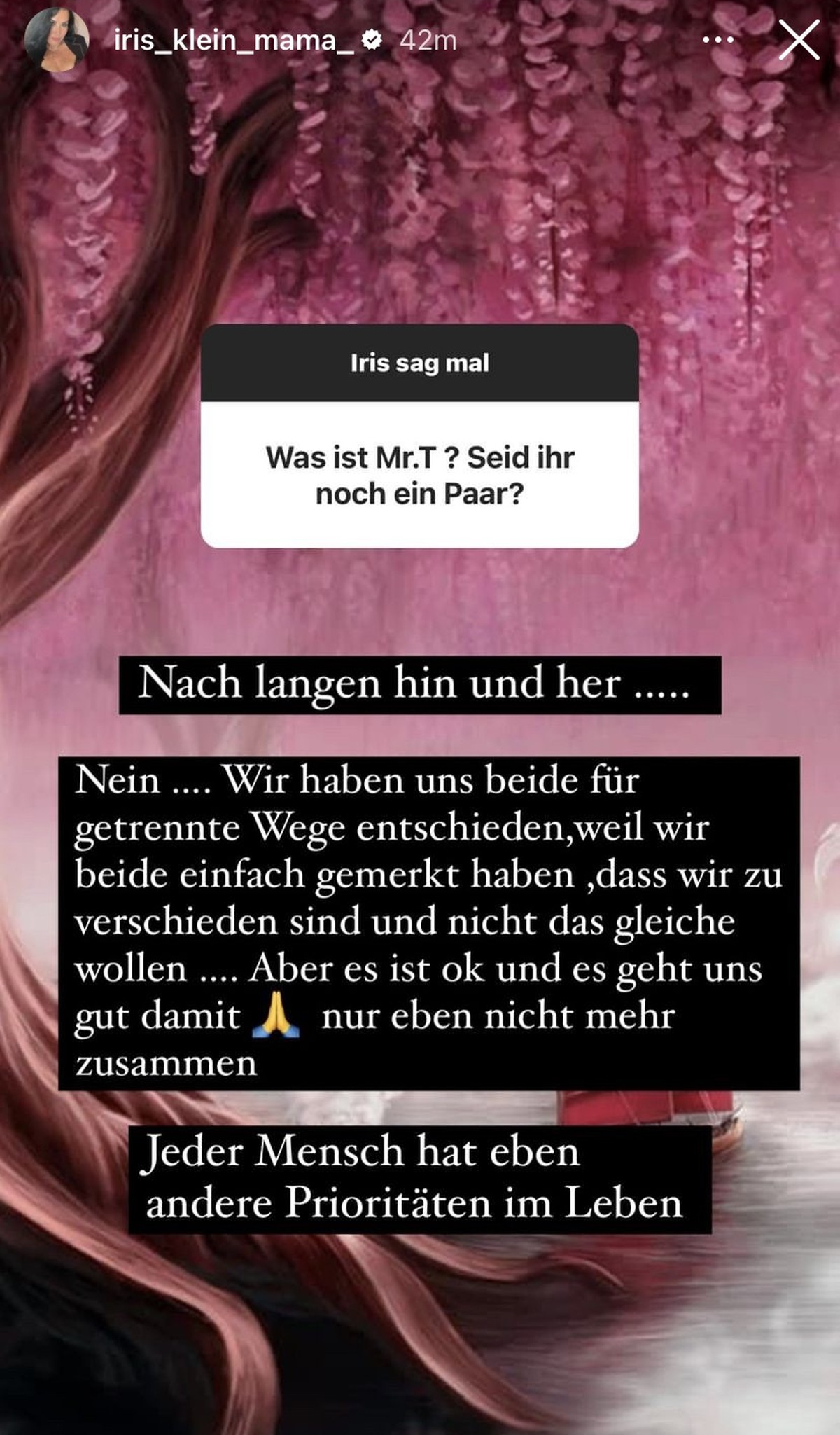 Iris Klein verkündet ihr Liebes-Aus.