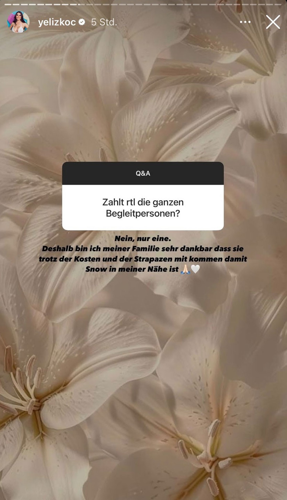 Yeliz Koç spricht über ihre Dschungel-Begleitungen.