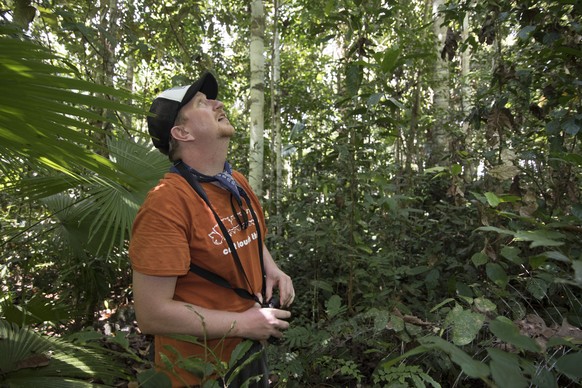 Entomologist and bee expert © Eli Wyman spends time observing an arboreal termite mound in the North Moluccas that he has discovered has an interesting hole resembling an entrance.