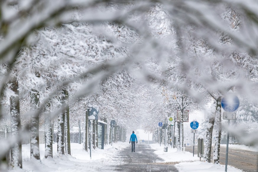 01.12.2023, Bayern, Straubing: Ein Mann geht durch eine mit Schnee bedeckte Allee. Foto: Armin Weigel/dpa +++ dpa-Bildfunk +++