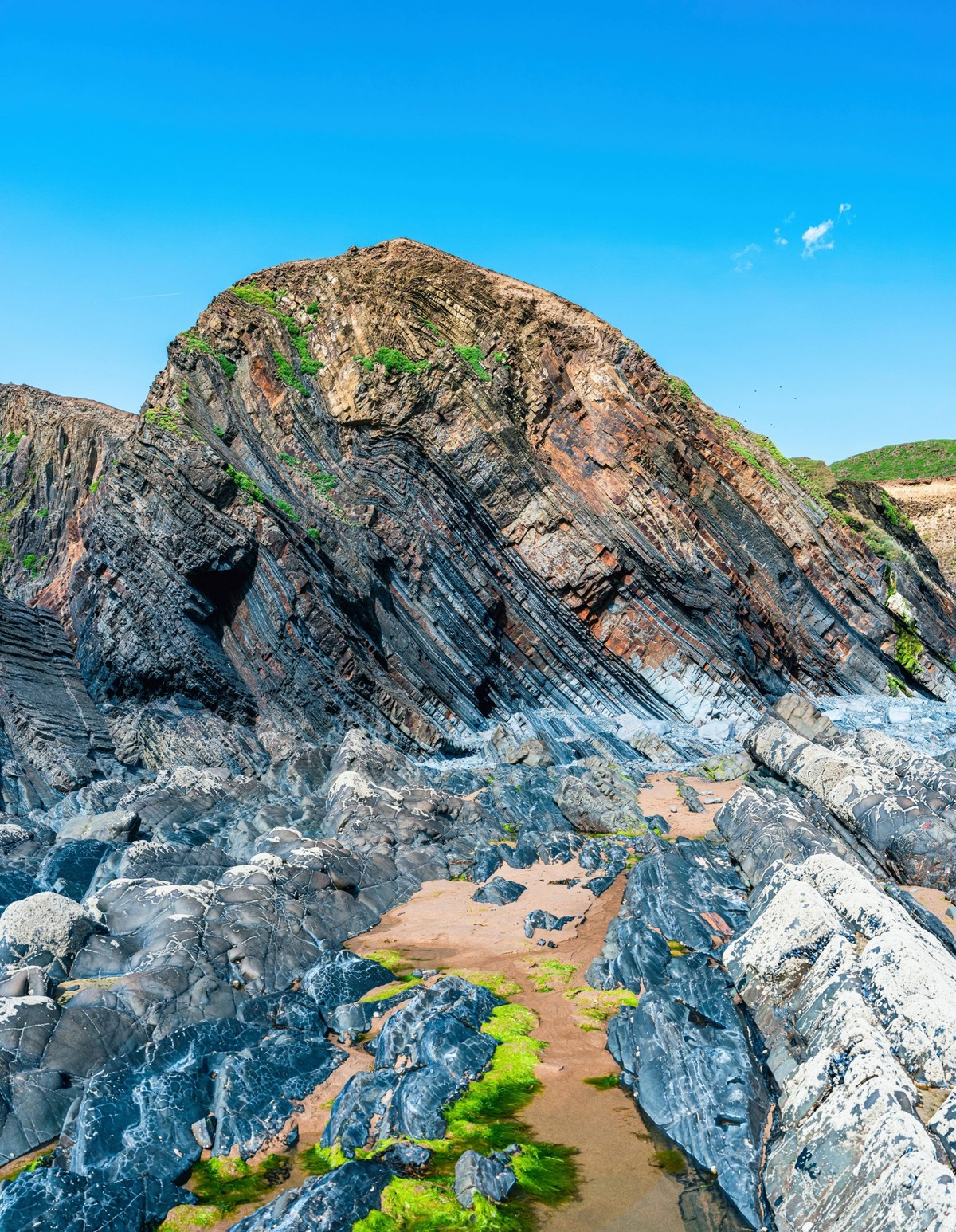 Klippen am Strand der Sandymouth Bay, National Trust, Bude, Cornwall, England, Gro�britannien, Europa *** Cliffs on Beach the Sandymouth bay, National trust, booth, Cornwall, England, Great Britain, E ...