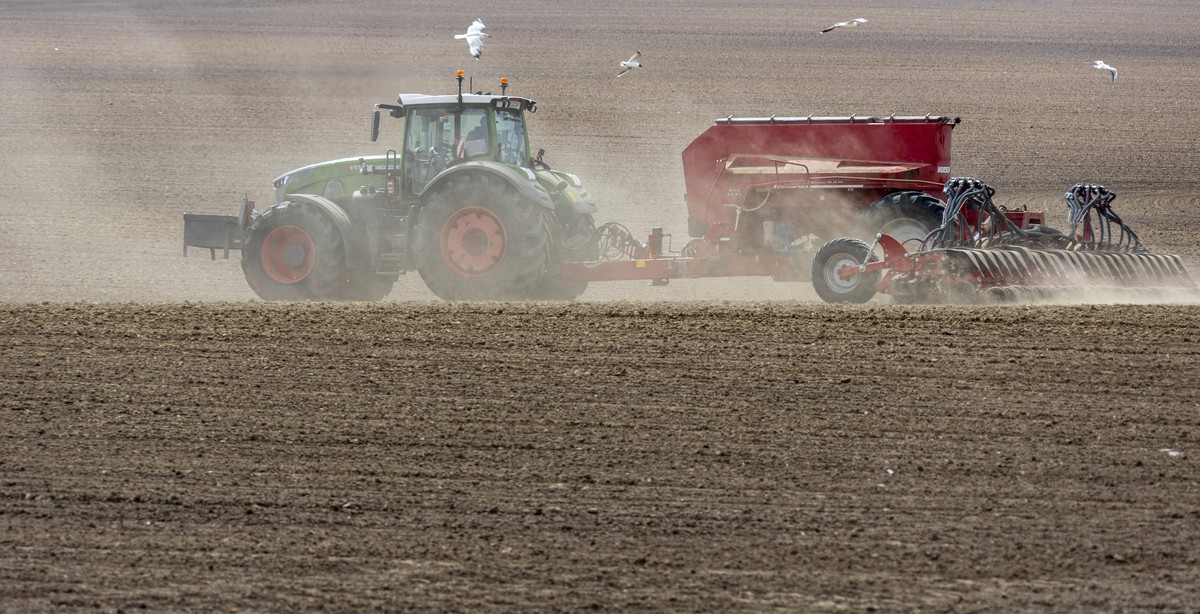Gerade in Mecklenburg-Vorpommern befinden sich viele großflächige Äcker, auf denen Regenwasser schnell verdunstet.