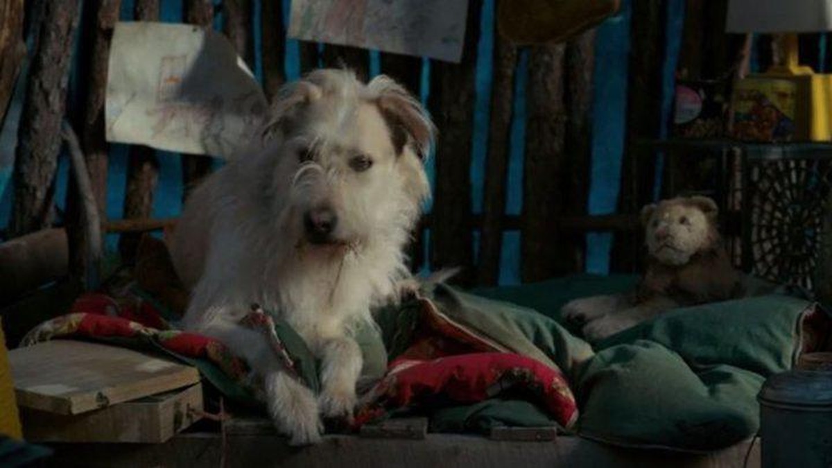 Einer der letzten Auftritte des "Stranger Things"-Hundes Chester.