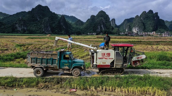 Das neuartige Virus wurde bisher vor allem bei chinesischen Farmer:innen festgestellt.