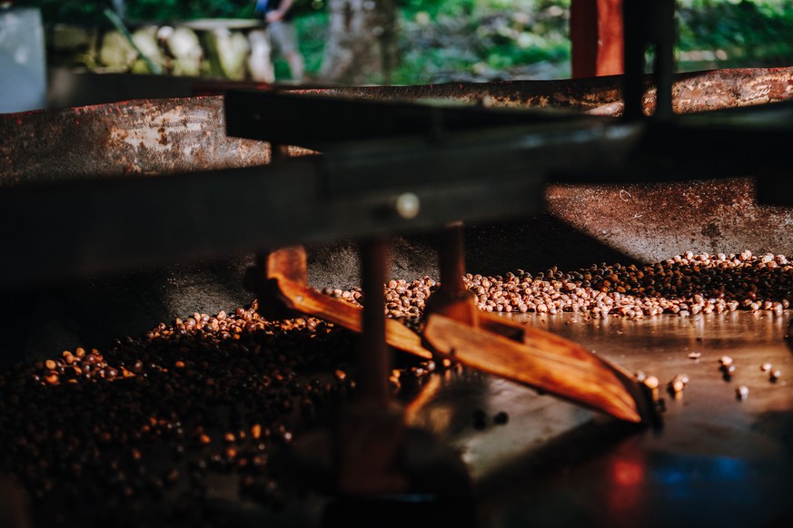 Nach der Trocknung kommen die Guaraná-Beeren in den Ofen zur Röstung. Je aufwendiger die Konstruktion, desto effizienter der Prozess