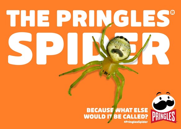 NATURAL PHENOMENON OR EIGHT-LEGGED AD? PRINGLES® LOGO SPOTTED SOMEWHERE VERY UNEXPECTED
