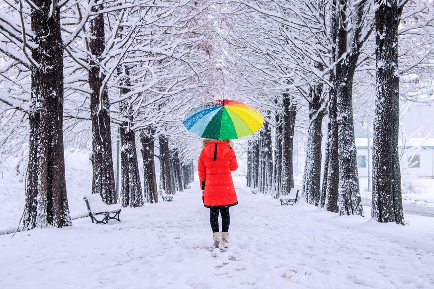 Girl with colourful umbrella walking on the path and row trees. Winter.
