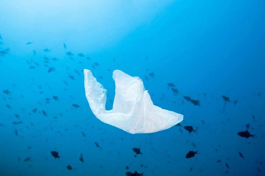 Muelltuete treibt durchs Meer, Nord Male Atoll, Indischer Ozean, Malediven Plastic bag floating over Reef, North Male Atoll, Indian Ocean, Maldives Plastiktuete, Malediven *** Garbage bag floating ove ...