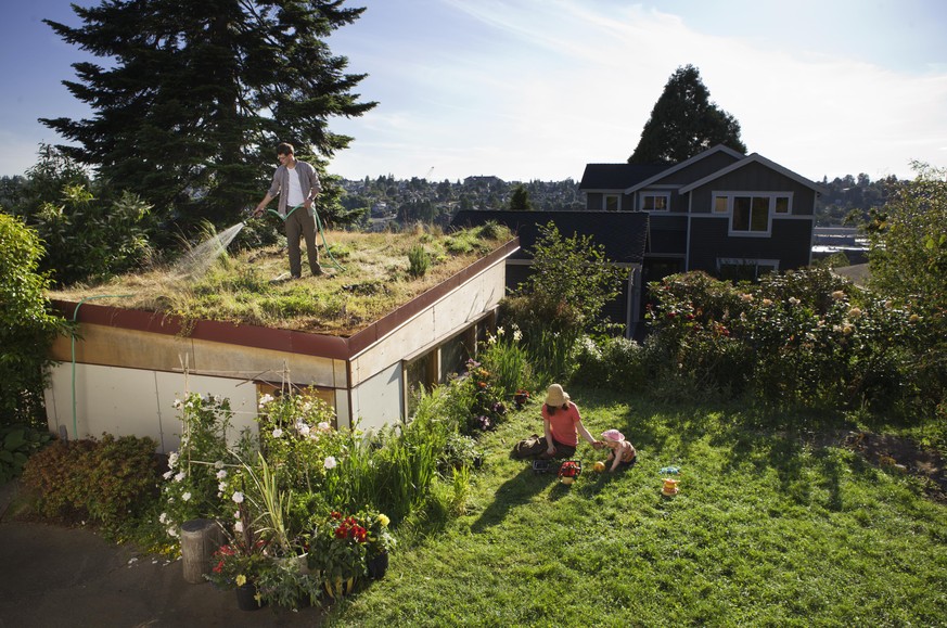 man watering green roof with family in yard