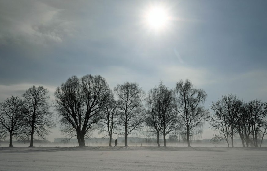 A pedestrian walks along a snow-covered alley near the small Bavarian village of Eichenau near Munich, southern Germany, during nice foggy winter weather with temperatures around the freezing point on ...