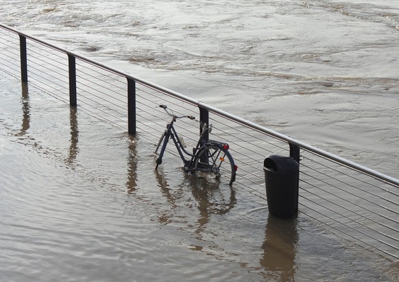 Der Rhein hat immer wieder mit Hochwasser zu kämpfen.