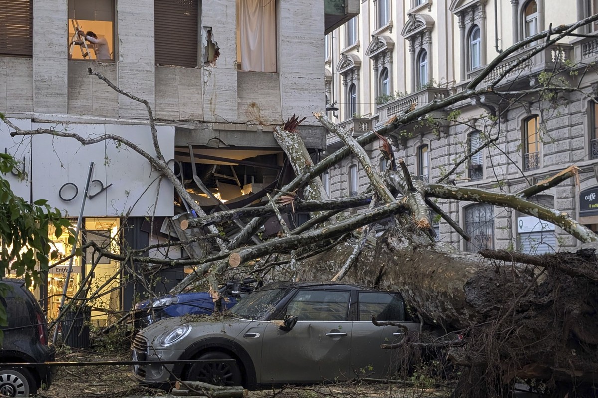 dpatopbilder - 17.04.2025, Italien, Mailand: Ein umgestürzter Baum nach starkem Wind und Regen in Mailand auf einem Auto. Foto: Claudio Furlan/LaPresse/AP/dpa +++ dpa-Bildfunk +++