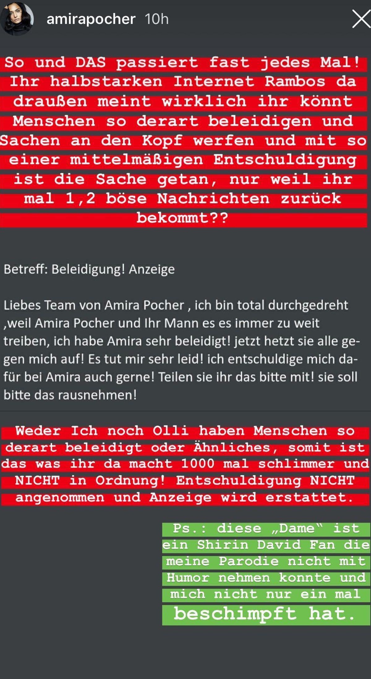 Amira Pocher: In ihrer Story teilte sie die Nachricht einer Nutzerin.