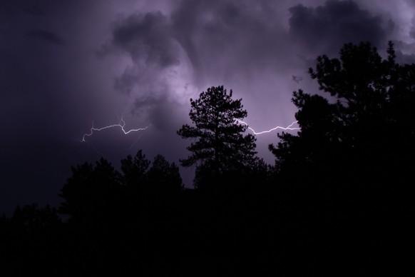 A dramatic scene of a thunderstorm illuminated by a streak of lightning over a field of trees *** einer Dramatische Szene des einer Gewitter beleuchtet indem einer Str