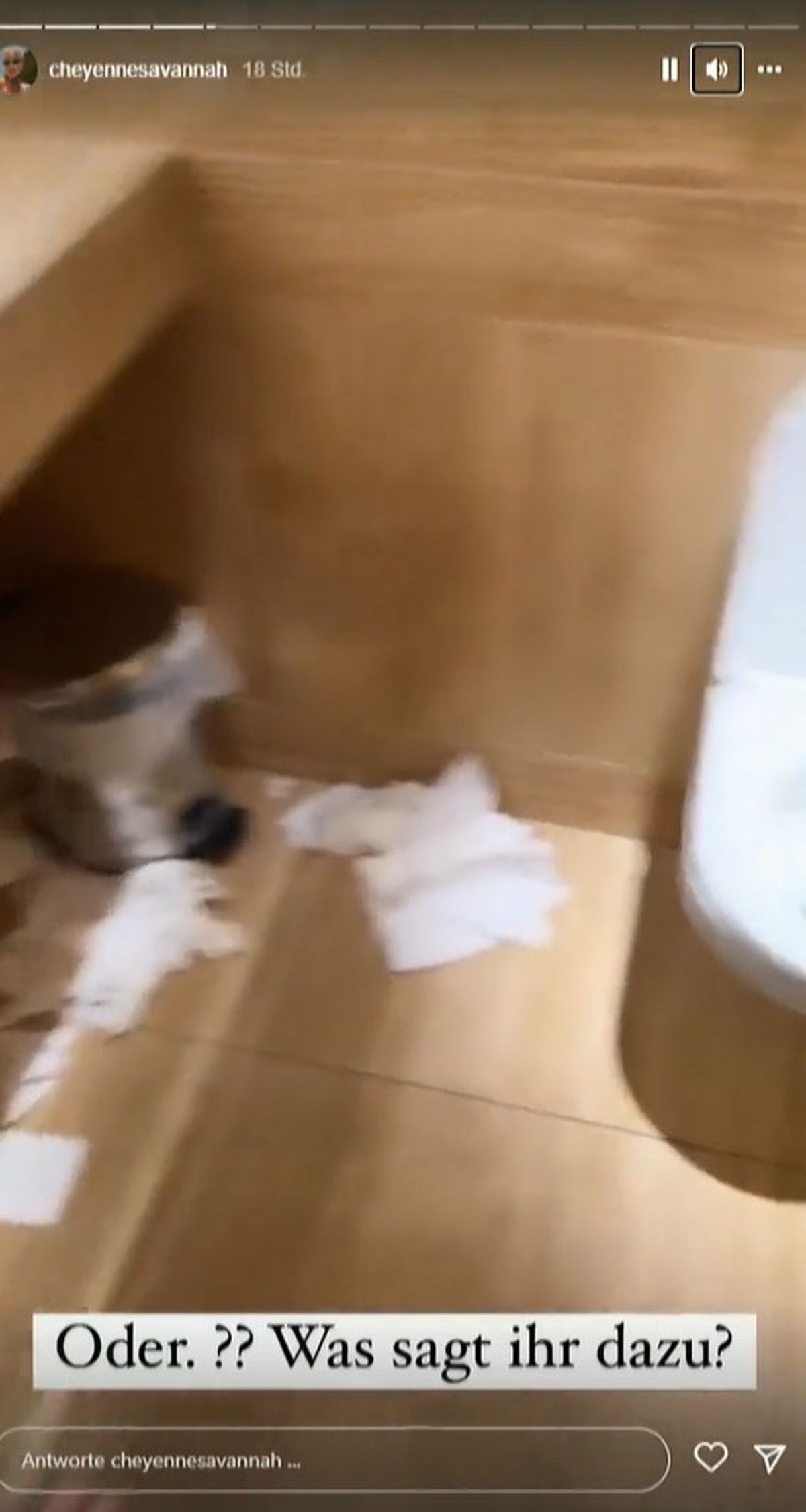 Cheyenne Ochsenknecht zeigt die vermüllte Toilette.
