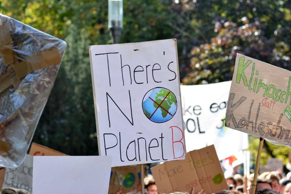 Protestschild mit der Aufschrift There is no Planet B während des Klimastreiks Fridays for Future, Heidelberg, Deutschland, Europa *** Protest sign with the Inscription There IS No Planet B during of  ...