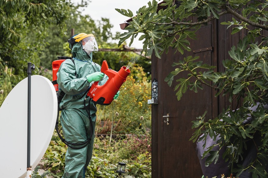 In Kloten wurde der Japankäfer vorgefunden. Es wurde ein Einsatz mit Insektiziden vorgenommen. 27.08.2023 Kloten Schweiz *** in Kloten was the Japanese beetle found it was a Deployment with Insecticid ...
