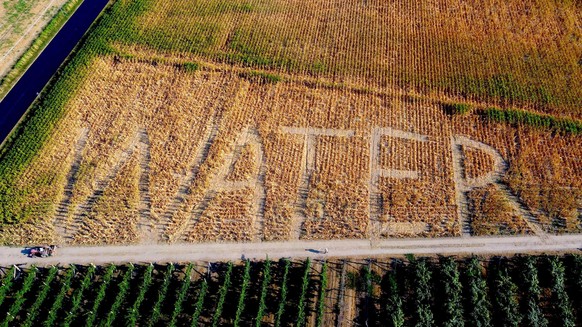 05.07.2022, Italien, Castagnaro: &quot;Save Water&quot; - &quot;L&#039;urlo del mais&quot; (Spart Wasser - Der Schrei des Mais) lautet das Motto des aktuellen großen Acker-Gemäldes, das der Künstler u ...