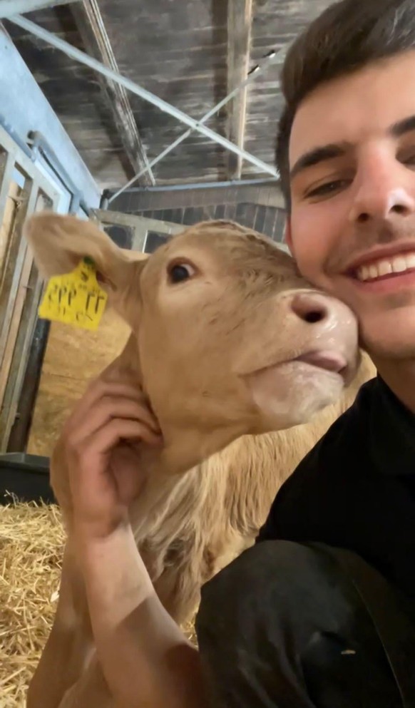 Lennard bei den Kälber auf dem Biohof.