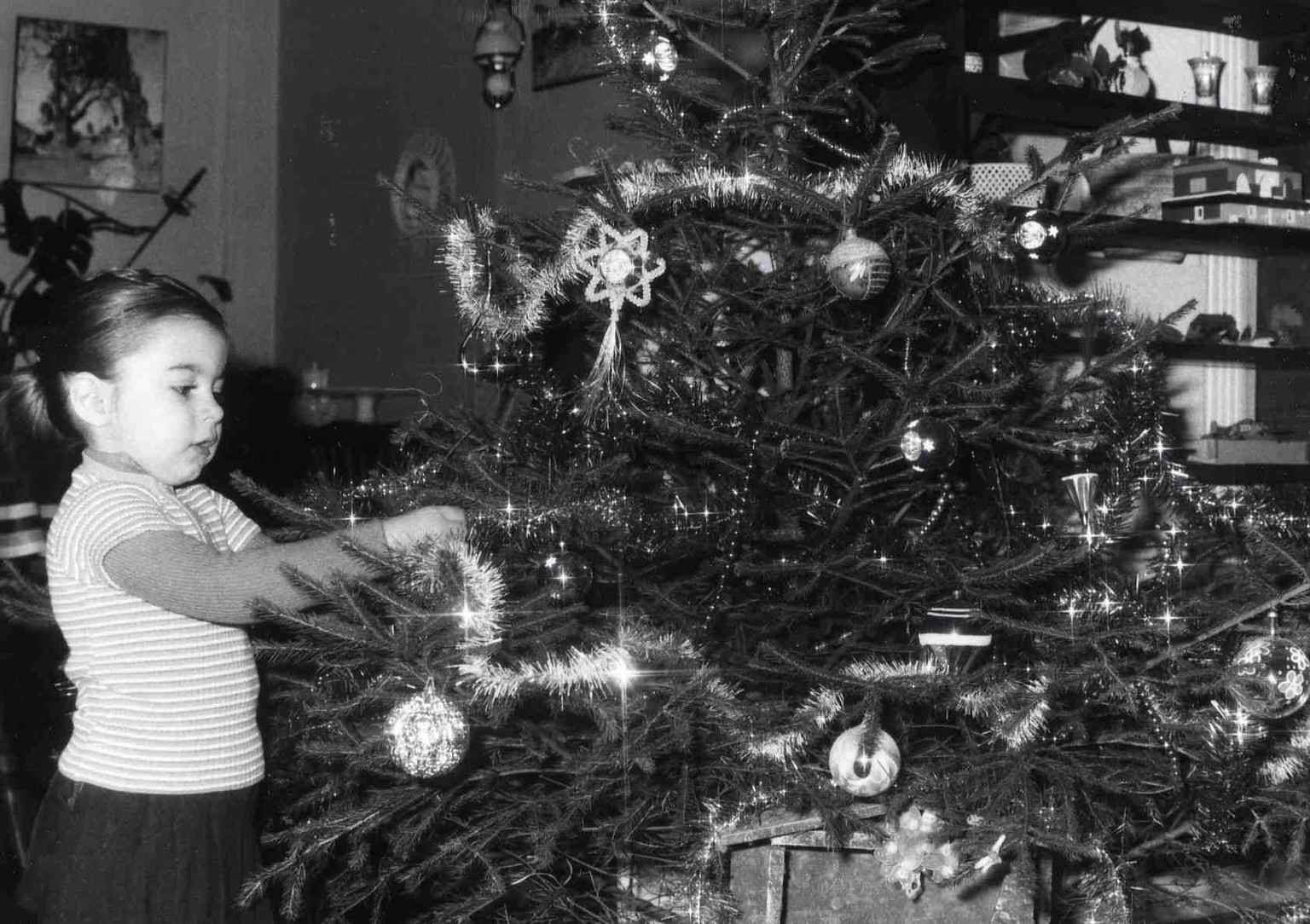 A child prepares the Christmas tree. (BELGA ARCHIVES) PUBLICATIONxINxGERxSUIxAUTxONLY x8946193x