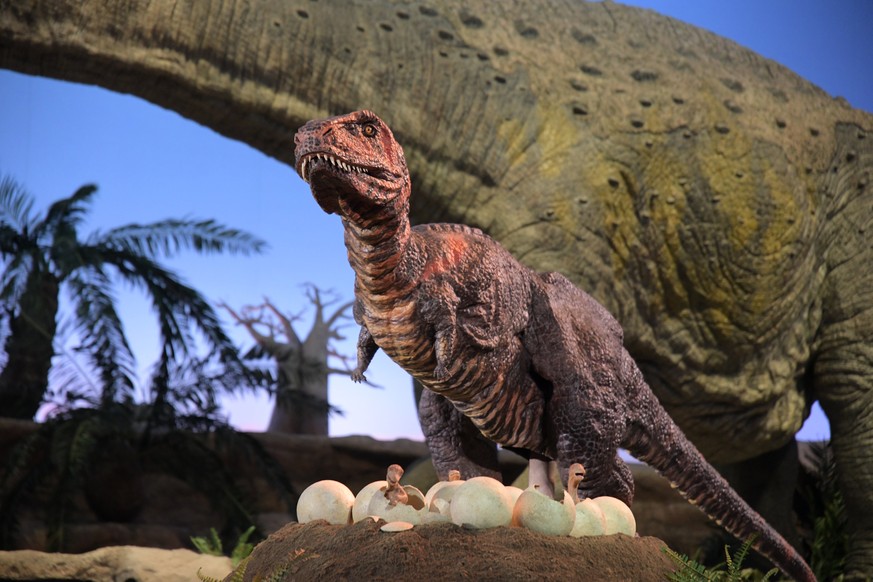 Astronomie Die Dinosaurier Lebten Auf Der Anderen Seite Der