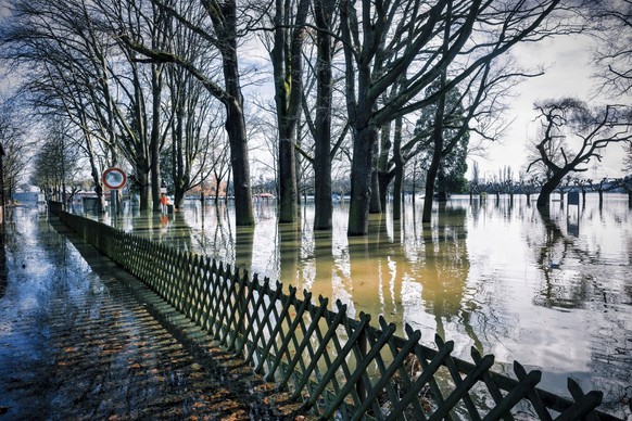 Am Rhein gibt es immer wieder Überschwemmungen.