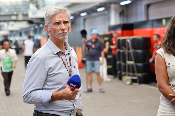 2022 Sao Paulo Formula 1 Grand Prix SO PAULO, SP - 10.11.2022: 2022 SAO PAULO FORMULA 1 GRAND PRIX - Damon Hill during the 2022 So Paulo Formula 1 Grand Prix held at the Interlagos Circuit in So Paulo ...