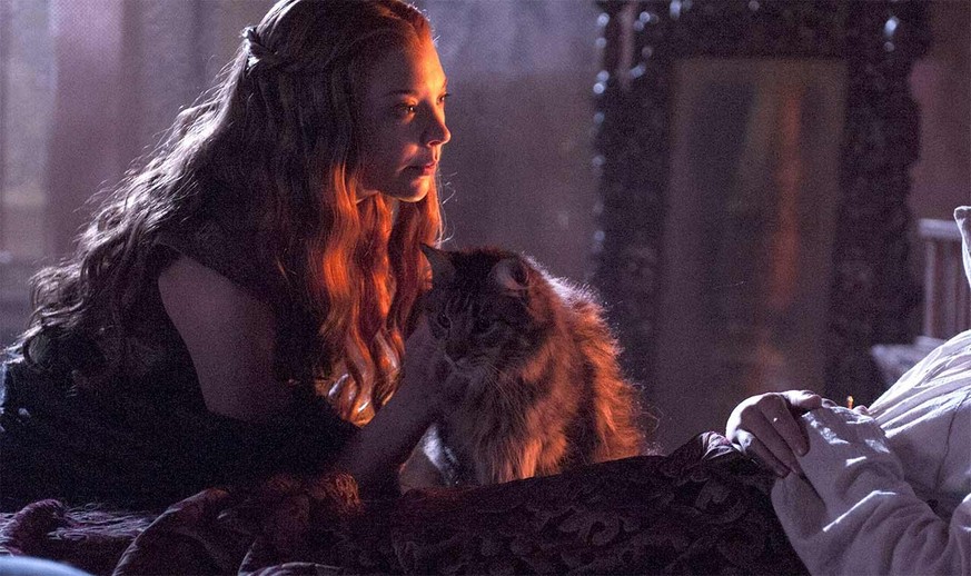 Er war so flauschig... Dieser "Game of Thrones"-Charakter ist definitiv tot