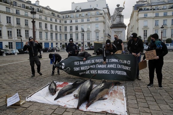 ARCHIV - 02.02.2021, Frankreich, Paris: Aktivisten stehen vor dem franz�sischen Parlament mit einem Banner (�Tausende von Delfinen wie diese werden jedes Jahr in Frankreich massakriert, damit Sie Fisc ...