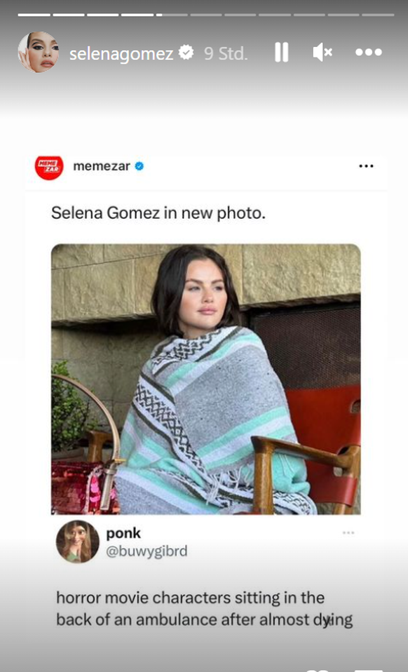 Selena Gomez teilt die Memes sogar selbst auf Instagram.