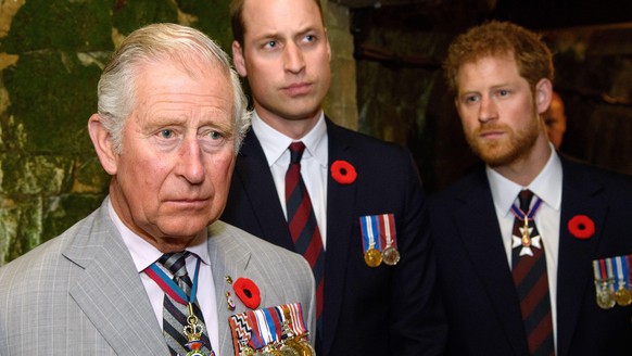 VIMY, FRANCE - APRIL 09: Prince Charles, Prince of Wales, Prince William, Duke of Cambridge and Prince Harry visit the tunnel and trenches at Vimy Memorial Park during the commemorations for the cente ...