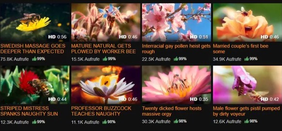 Orgy-Akte Pussy und dick