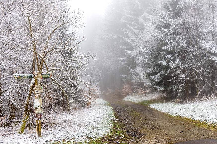 News Bilder des Tages Schnee im April In den Höhenlagen des Taunus rund um den Großen Feldberg ist am Morgen des 20. April eine dünne Schneedecke gefallen., Schmitten Hessen Deutschland *** Snow in Ap ...