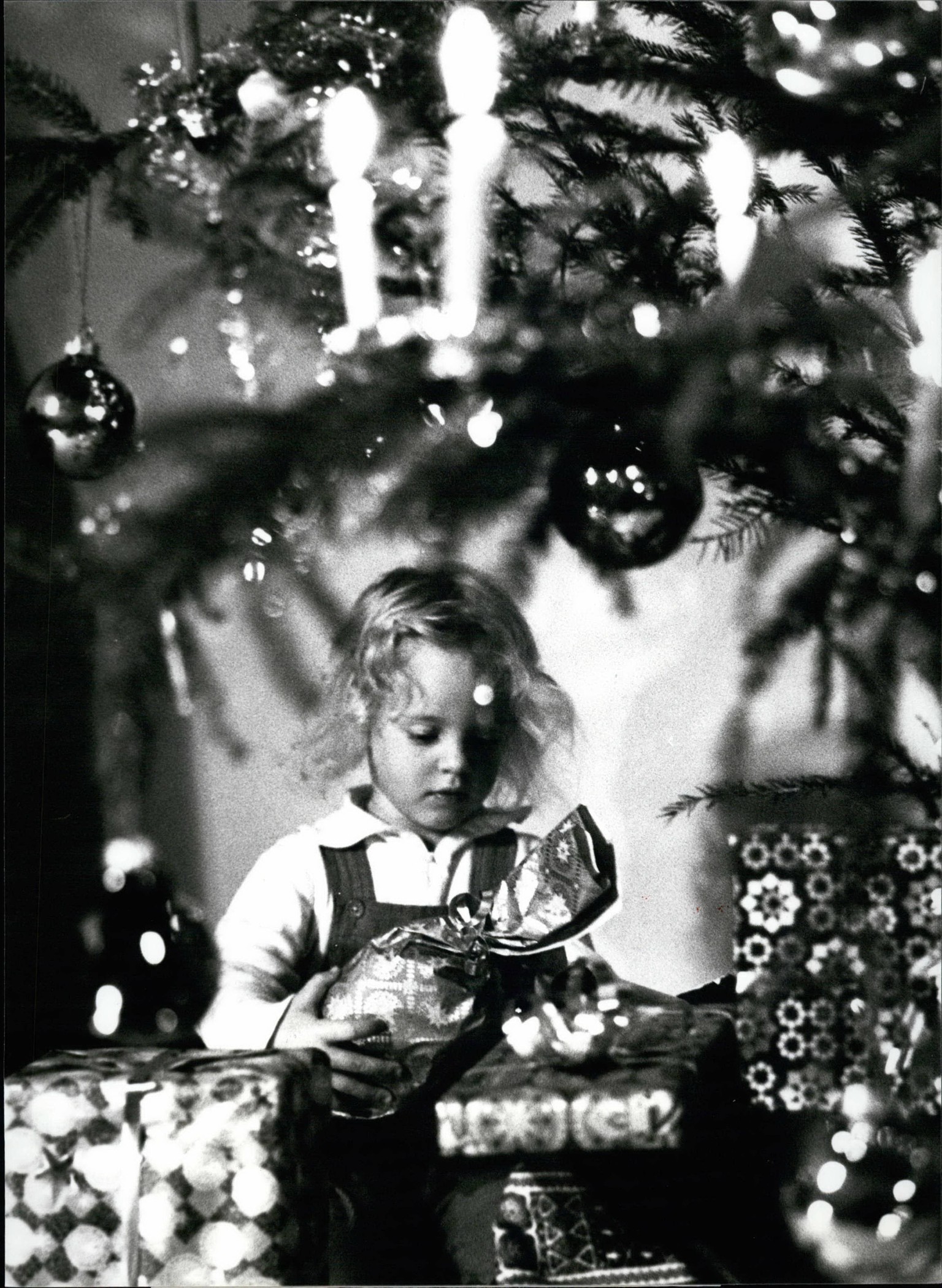 Dec. 12, 1980 - Auspicious Christmas tree Christmas trees have a big fascination mainly for children. It s not the religious symbol they like but the gifts for them they found there. Really a merry Ch ...