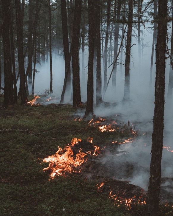 In großen Teilen Europas gab es schwere Waldbrände.