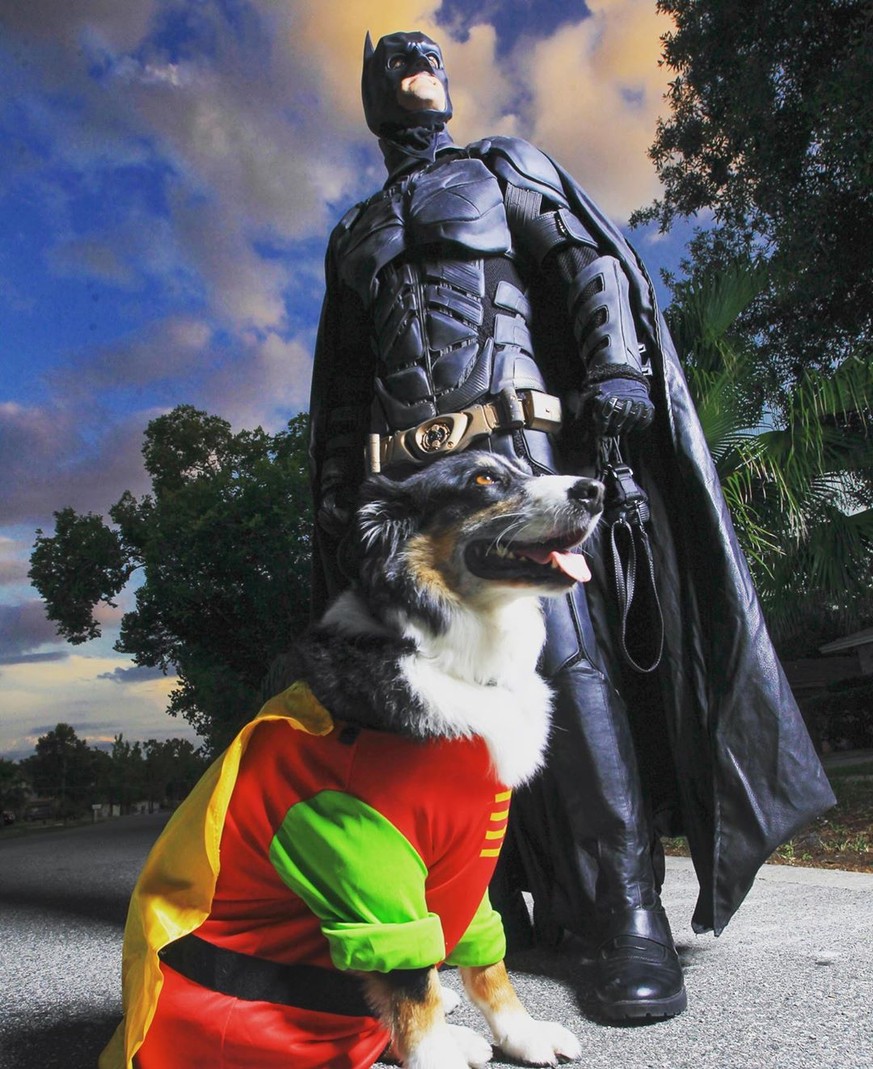 Ein wahrer Held: Der Tier-Retter Batman (und Robin)