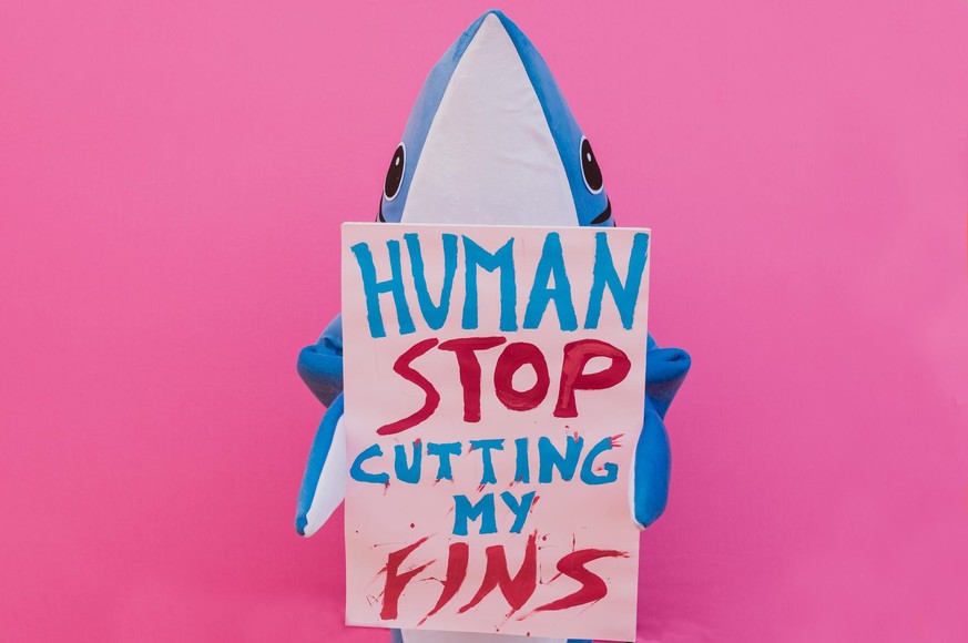 Hai in Mission – gegen das Abtrennen der Rückenflosse von Haien und das anschließende Aussetzen der dann schwimmunfähigen Tiere im Meer, gibt es immer wieder Protestaktionen.