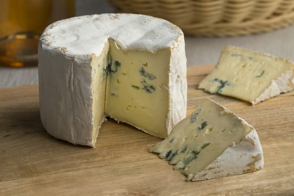 Hier ist Schimmel kein Problem: Edelschimmel ist auf einigen Käsesorten erwünscht, wie beispielsweise auf Schweizer Gruyère, Roquefort aus Frankreich oder Blauschimmelkäse.