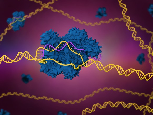 3d render of the CRISPR-Cas9 genome editing system