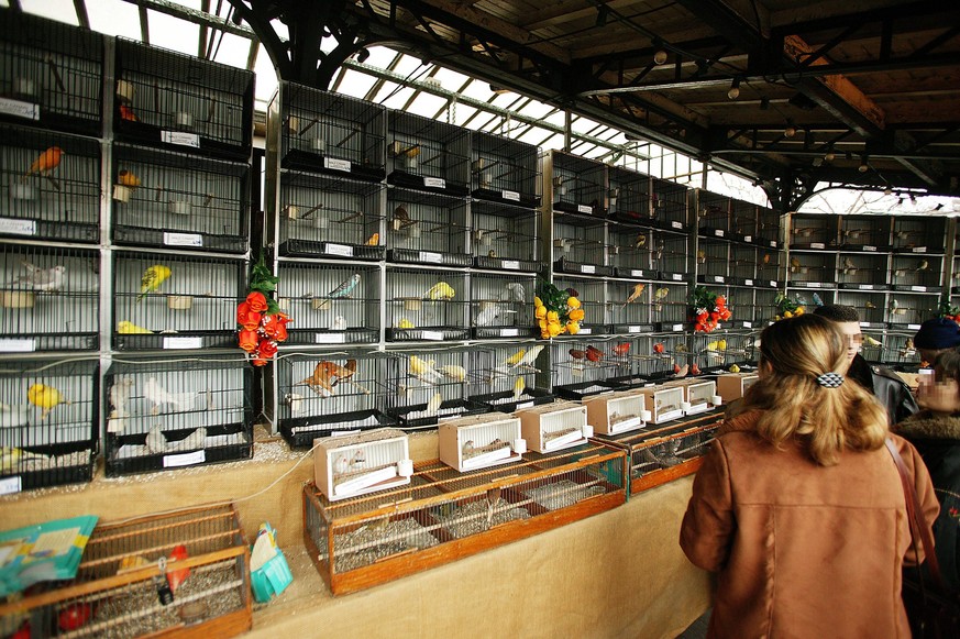 Bildnummer: 58344098 Datum: 04.06.2012 Copyright: imago/Anka Agency International
People at the Bird Market on Ile de la Cite in Paris PUBLICATIONxINxGERxSUIxAUTxONLY x0x xsk Personen am der Bird Mar ...