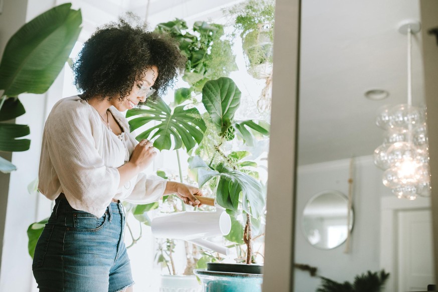 A happy young adult woman enjoys time at her home, the house interior well designed and decorated with an assortment of interesting plants. She waters one of her plant arrangements with watering can.