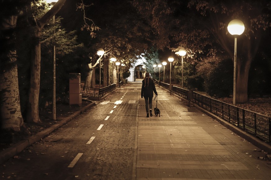 young pretty girl walking the dog at night in winter