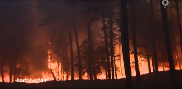 In diesem Jahr sind bereits mehrere Tausend Hektar Wald in Deutschland abgebrannt.
